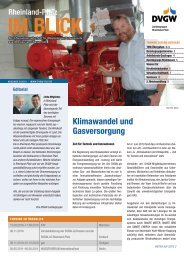 Ausgabe 2/2010 (PDF, 1.11 MB) - DVGW Rheinland-Pfalz