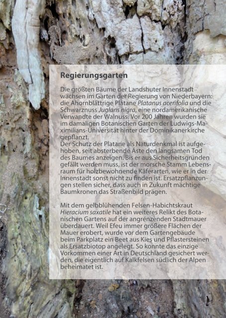 Broschüre - Kreisgruppe Landshut des Bund Naturschutz - Bund ...