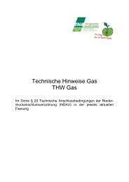 Technische Hinweise Gas THW Gas - ENA Energienetze Apolda ...