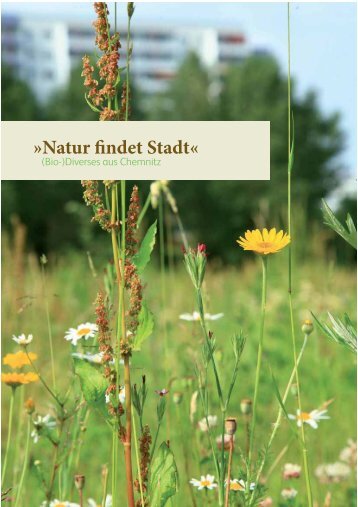 Natur findet Stadt« - Deutscher Verband für Landschaftspflege e.V.