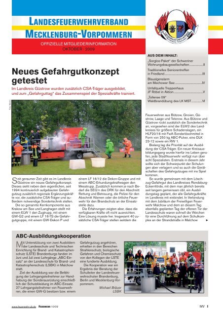 Landesfeuerwehrverband Mecklenburg ... - Dev - Feuerwehr