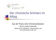 Der chronische Schmerz im Alltag - Landesnervenklinik Wagner ...