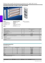 Rittal RiLine60 Schienensysteme UL 508 (60 mm)