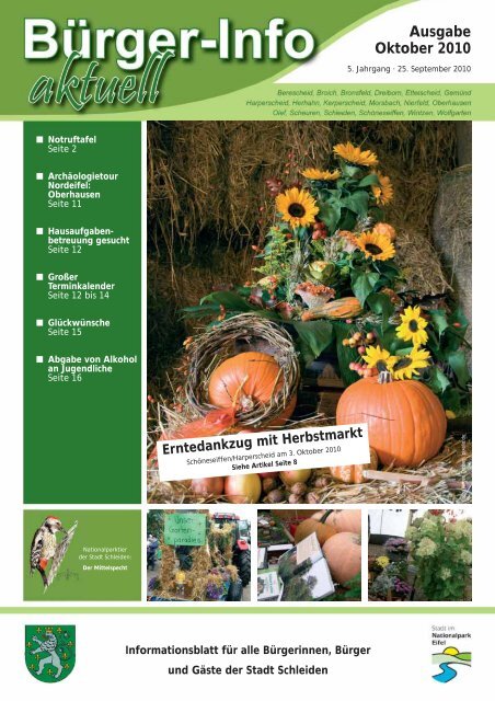 Ausgabe Oktober 2010 - Stadt Schleiden