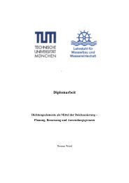 Diplomarbeit - Ronald Haselsteiner