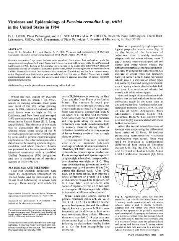 Virulence and Epidemiology of Puccinia recondita f. sp. tritici in the ...