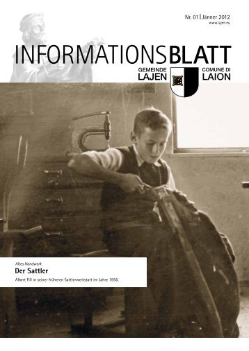 Informationsblatt 01/2012 (2,13 MB)