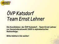 ÖVP Katsdorf Team Ernst Lehner - oevp katsdorf - ÖVP