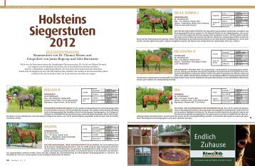 Holsteins Siegerstuten 2012 - Pferd+Sport