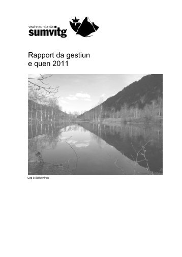 Rapport da gestiun e quen 2011 - in der Gemeinde Sumvitg