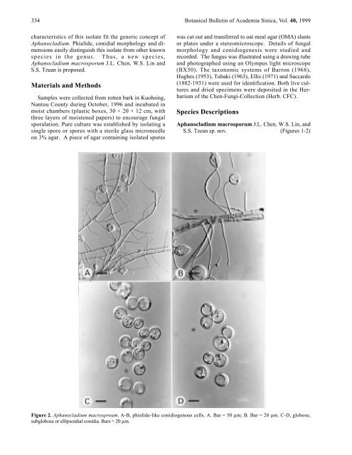 Aphanocladium macrosporum sp. nov. from Taiwan - Academia Sinica