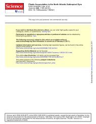 Plastic Accumulation in the North Atlantic Subtropical Gyre - GRID