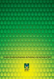 Anuário Estatístico Brasileiro do Petróleo e do Gás Natural 2007 ...