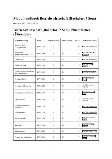 Modulhandbuch [PDF] - Prof. Dr.-Ing. Damian Weber