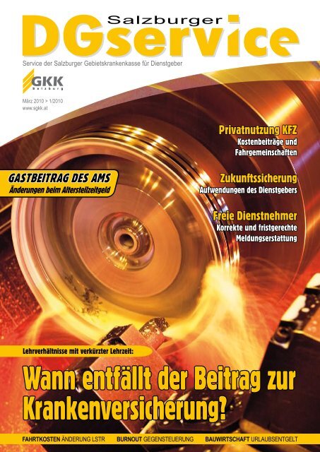 "Dgservice" Nr. 1/2010 - BVA