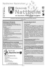 nattheim kw17.cdr