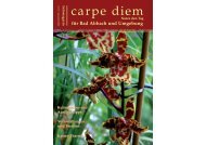 carpe diem magazine