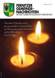 (4,05 MB) - .PDF - Fernitz