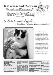 Im Schutz eines Engels … - KatzenschutzVerein Karlsruhe und ...