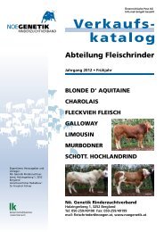 Fleischrinder-Verkaufskatalog: Frühling 2012 - Noegenetik