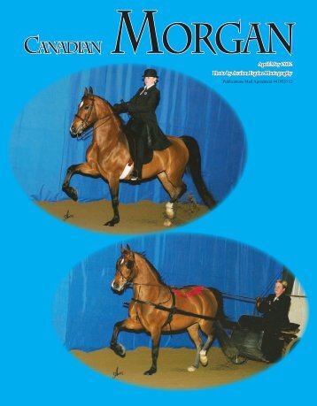 April/May 2012 - Canadian Morgan Horse Association