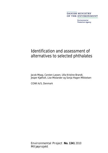 Identification and assessment of alternatives to selected phthalates
