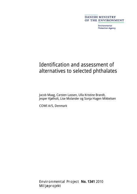 Identification and assessment of alternatives to selected phthalates