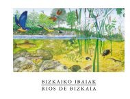 BIZKAIKO IBAIAK RIOS DE BIZKAIA - Instituto para la Sostenibilidad ...