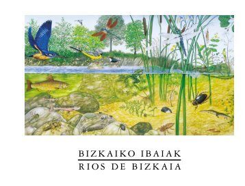 BIZKAIKO IBAIAK RIOS DE BIZKAIA - Instituto para la Sostenibilidad ...