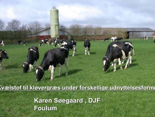 Karen Søegaard , DJF Foulum - LandbrugsInfo