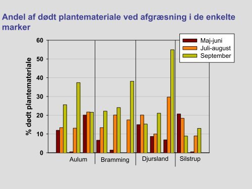 Karen Søegaard , DJF Foulum - LandbrugsInfo