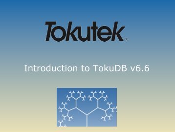 Overview presentation of TokuDB in slide format (PDF - Tokutek