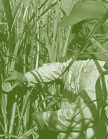 Bioetanol-Referencias-Inglês.ind272 272 11/11/2008 16:21:12