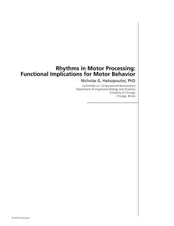 Rhythms in Motor Processing: Functional Implications for Motor ...