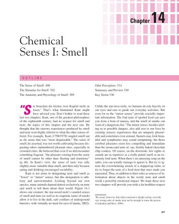 Chemical Senses I: Smell - Department of Psychological Sciences