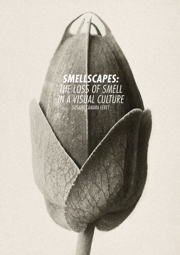 SmellScapeS: the loss of smell in a visual culture - Design Academy
