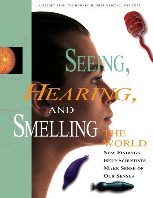 Seeing, Hearing, and Smelling the World - Howard Hughes Medical ...