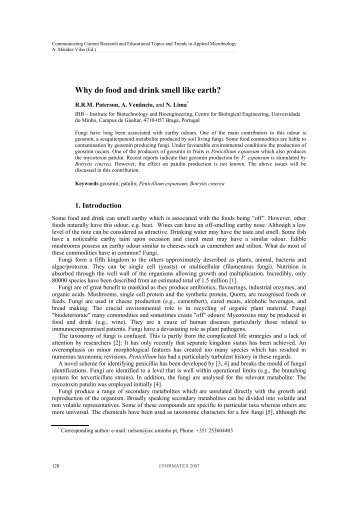 Why do food and drink smell like earth? - Formatex Research Center