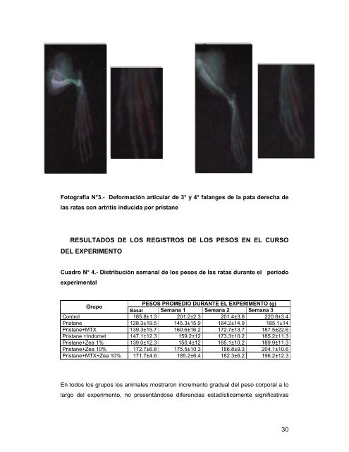 Zea mays L. variedad morada y su efecto protector de ... - Cybertesis