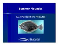 Presentation - Summer Flounder Mgmt Measures