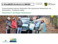 Waldumbau in der Region Westsachsen - KlimaMORO