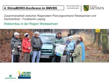 Waldumbau in der Region Westsachsen - KlimaMORO