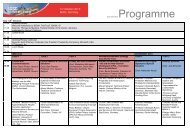 ISSE Programme Outline