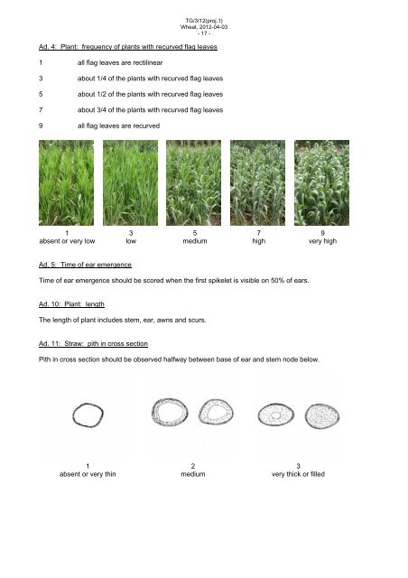 Triticum aestivum L. emend. Fiori et Paol - International Union for the ...