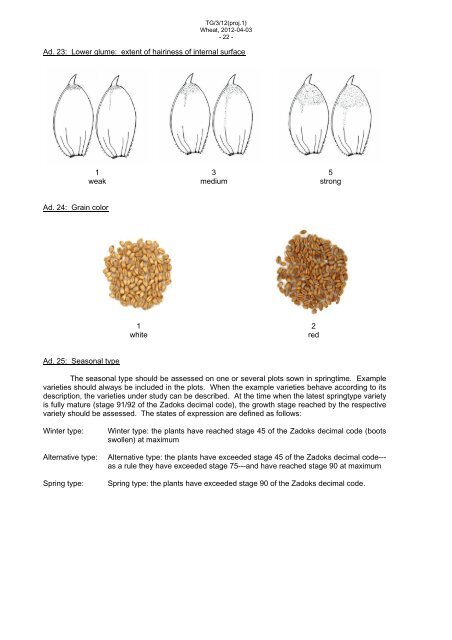 Triticum aestivum L. emend. Fiori et Paol - International Union for the ...