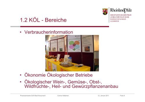 Präsentation Praxissemester Carina Hattemer - FH Bingen