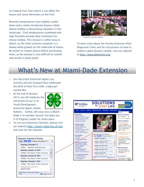 Winter 2012 - Miami-Dade County Extension Office - University of ...