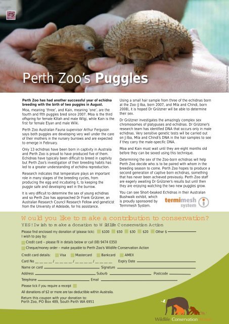 Summer 2009 - Perth Zoo
