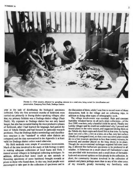 The Folk Biology of the Tobelo People - Smithsonian Institution ...