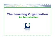 Examples of Learning Organizations - Moya K. Mason